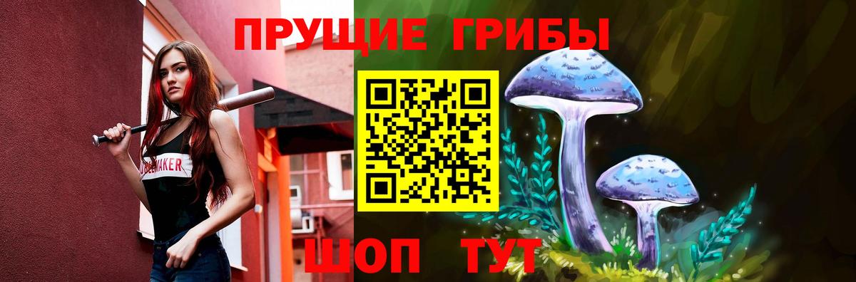 Псилоцибиновые грибы Psilocybe  Вход с VPN  Ханты-Мансийск  Галлюциногенные грибы прущие грибы 
